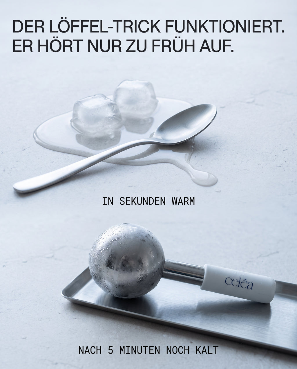 Celéa Ice Globes – 2er-Set aus Edelstahl