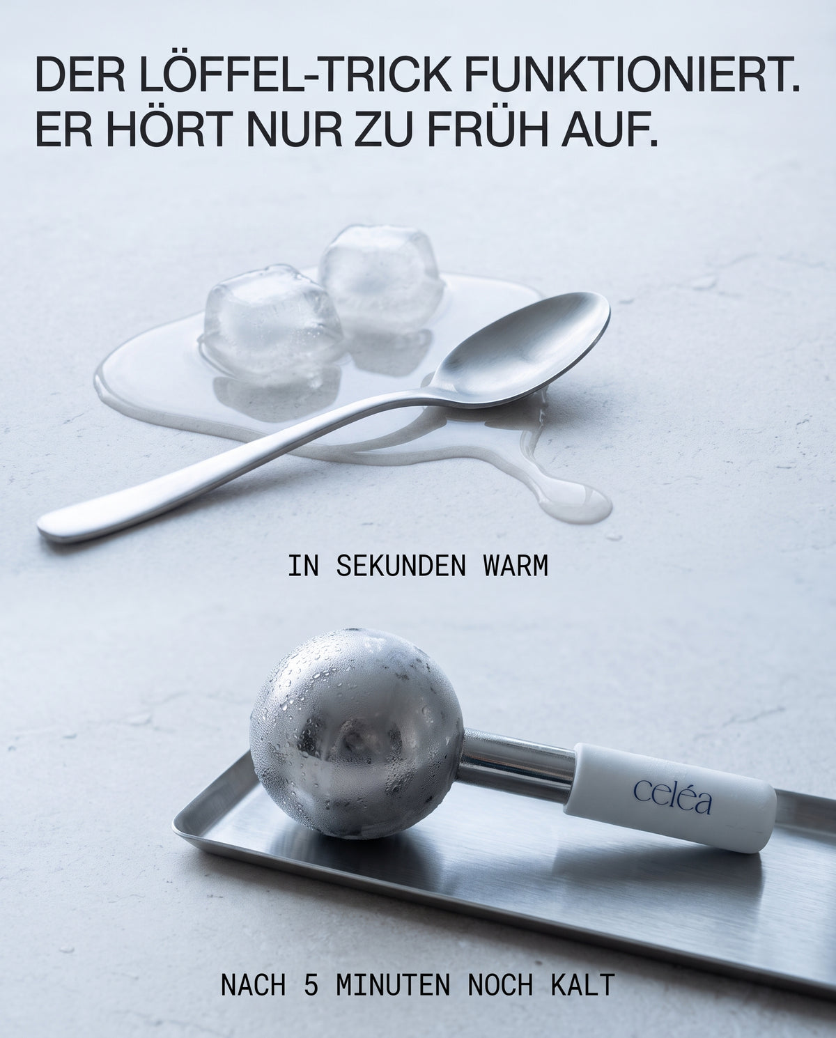 Celéa Ice Globes – 2er-Set aus Edelstahl