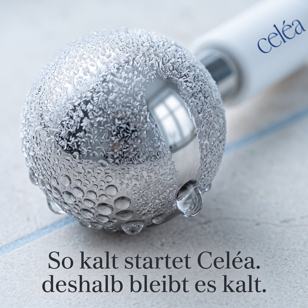 Celéa Ice Globes – 2er-Set aus Edelstahl
